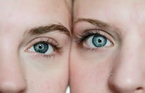 sharon mccutcheon NeRKgBUUDjM unsplash