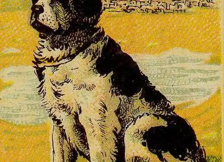 Karta Wierność w tarocie cygańskim - symbol lojalności, zaufania i trwałych relacji.